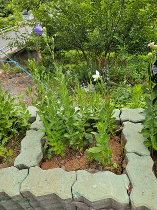 포도21806님의 자유주제 · 자유게시판 작성글 사진