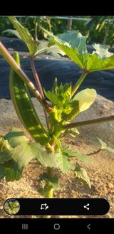 팜모닝 자유주제·자유게시판 게시글 이미지