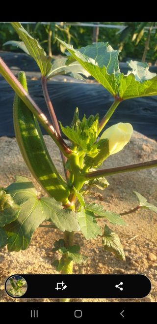 자두20879님의 자유주제 · 자유게시판 작성글 사진