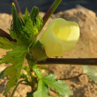 자두20879님의 자유주제 · 자유게시판 작성글 사진