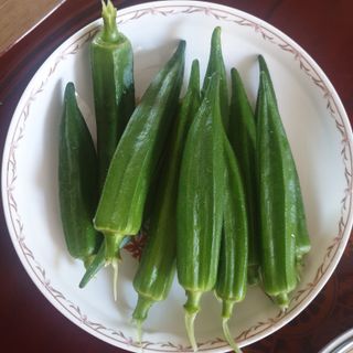 자두20879님의 자유주제 · 자유게시판 작성글 사진