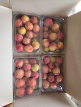 팜모닝 자유주제·자유게시판 게시글 이미지