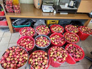 유병선(김천자두)님의 자유주제 · 자유게시판 작성글 사진