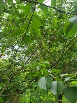 팜모닝 자유주제·자유게시판 게시글 이미지