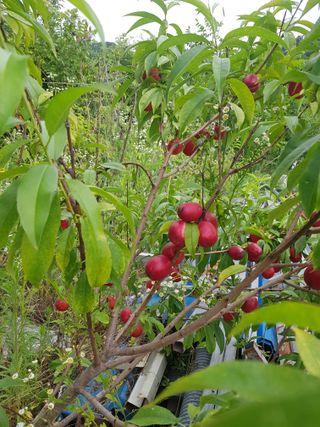 유목님의 자유주제 · 자유게시판 작성글 사진