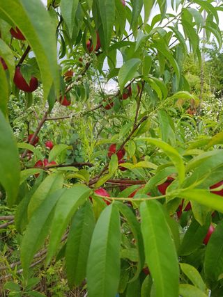 유목님의 자유주제 · 자유게시판 작성글 사진