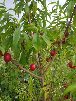 유목님의 자유주제 · 자유게시판 작성글 사진