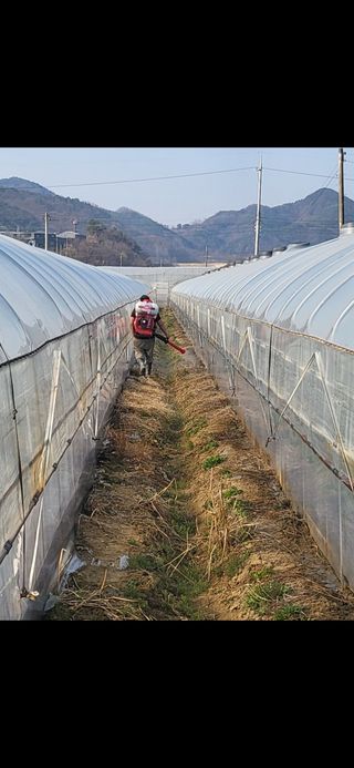 참외님의 기타작물 · 영농일지 작성글 사진