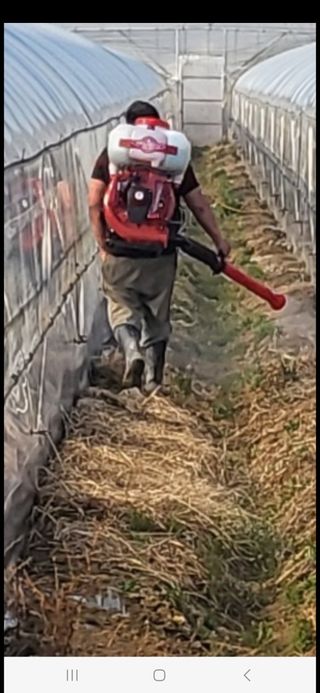 참외님의 기타작물 · 영농일지 작성글 사진