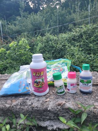 김성명님의 사과 · 영농일지 작성글 사진