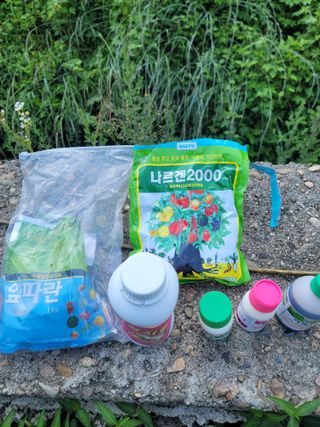 김성명님의 사과 · 영농일지 작성글 사진