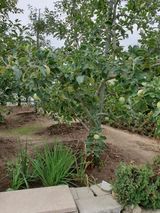 팜모닝 자유주제·자유게시판 게시글 이미지