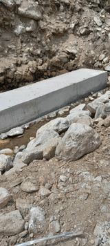 팜모닝 자유주제·자유게시판 게시글 이미지