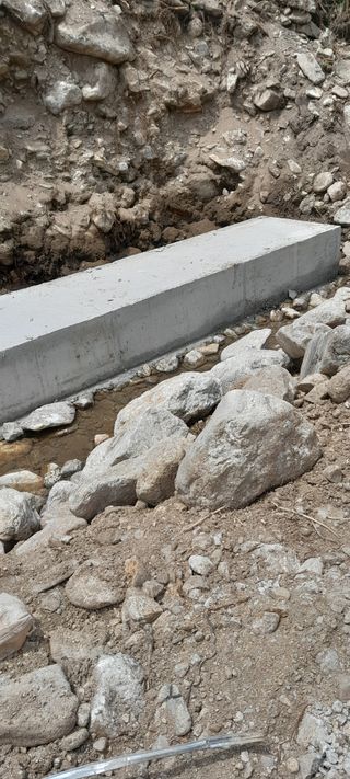 .윤금자님의 자유주제 · 자유게시판 작성글 사진