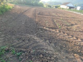 알 수 없음님의 들깨 · 자유게시판 작성글 사진