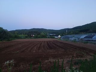 알 수 없음님의 들깨 · 자유게시판 작성글 사진