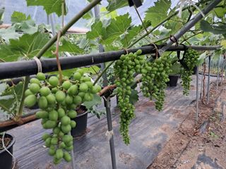 이수명님의 자유주제 · 자유게시판 작성글 사진