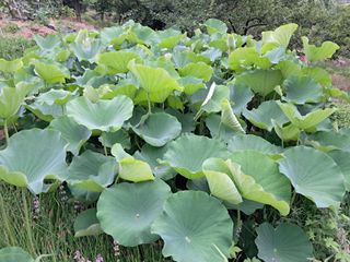 이수명님의 자유주제 · 자유게시판 작성글 사진