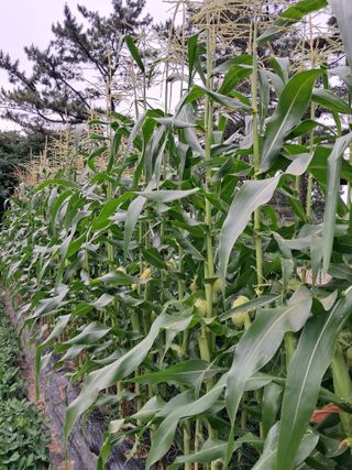 이수명님의 자유주제 · 자유게시판 작성글 사진