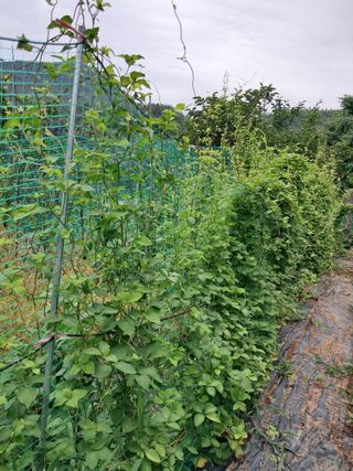 이수명님의 자유주제 · 자유게시판 작성글 사진