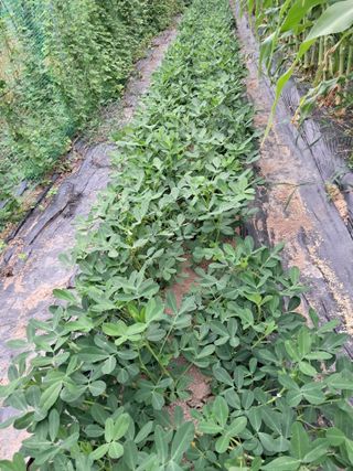 이수명님의 자유주제 · 자유게시판 작성글 사진