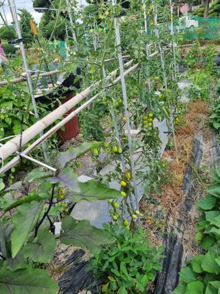 연산나무농장님의 자유주제 · 자유게시판 작성글 사진