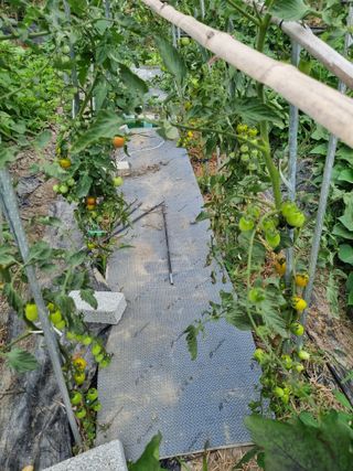 연산나무농장님의 자유주제 · 자유게시판 작성글 사진