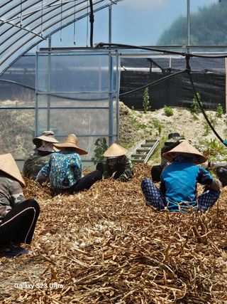 최재혁님의 자유주제 · 자유게시판 작성글 사진