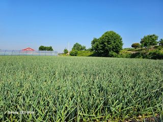 최재혁님의 자유주제 · 자유게시판 작성글 사진