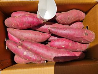 이영민님의 작성글 사진