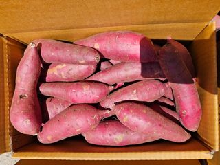 이영민님의 작성글 사진