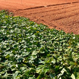 이영민님의 작성글 사진