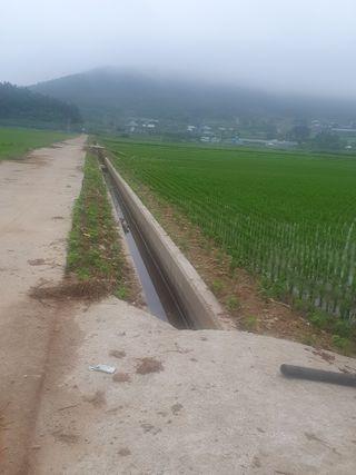 금강석님의 콩 · 영농일지 작성글 사진