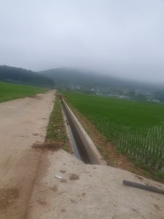 금강석님의 콩 · 영농일지 작성글 사진