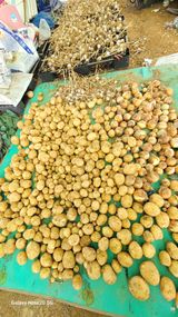 팜모닝 자유주제·자유게시판 게시글 이미지