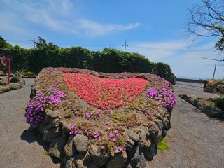 새달귤농장님의 자유주제 · 자유게시판 작성글 사진