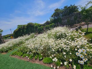 새달귤농장님의 자유주제 · 자유게시판 작성글 사진