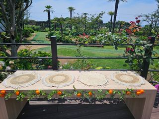 새달귤농장님의 자유주제 · 자유게시판 작성글 사진