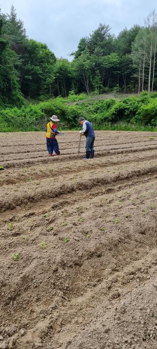 구선님의 👩🏻‍🌾7월 농작업 계획 · 참여글 작성글 사진