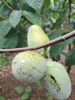 석가님의 자유주제 · 자유게시판 작성글 사진