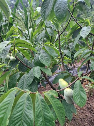 석가님의 자유주제 · 자유게시판 작성글 사진