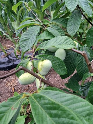 석가님의 자유주제 · 자유게시판 작성글 사진