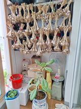 팜모닝 자유주제·자유게시판 게시글 이미지