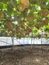 팜모닝 팜모닝·출석 게시글 이미지