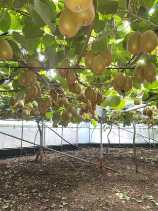 서울농장님의 팜모닝 · 출석 작성글 사진