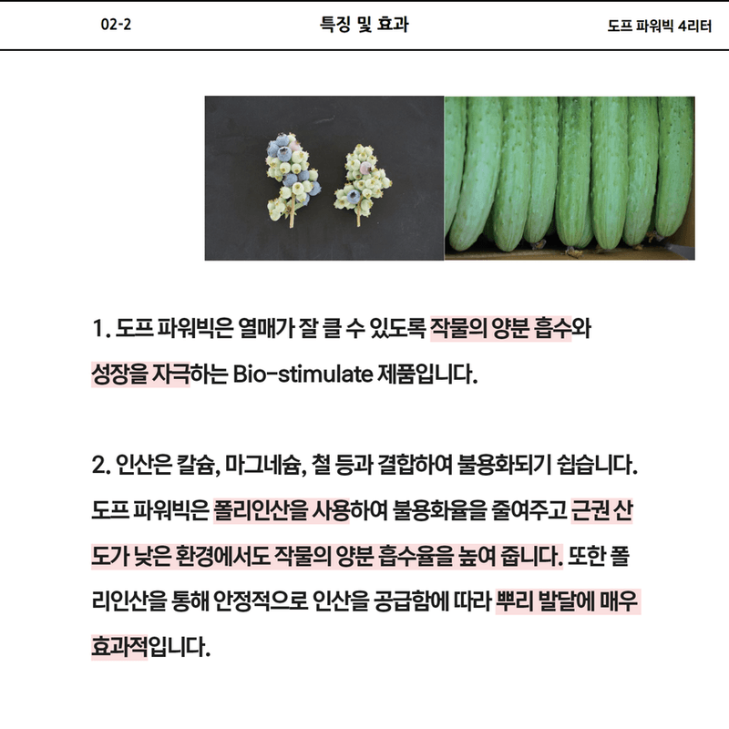 삼익농자재님의 장터 판매 상품 [[도프] 파워빅 4리터 폴리인산 함유 크게 만들어주는 관주용 제품 호박 오이 포도] 첨부 사진