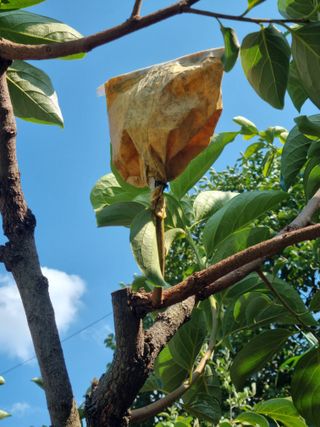 김용대님의 자유주제 · 자유게시판 작성글 사진