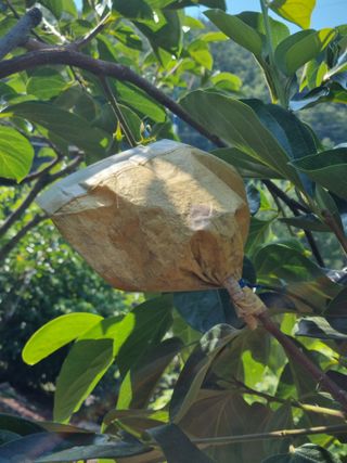 김용대님의 자유주제 · 자유게시판 작성글 사진