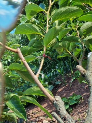 김용대님의 자유주제 · 자유게시판 작성글 사진