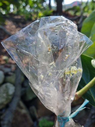 김용대님의 자유주제 · 자유게시판 작성글 사진